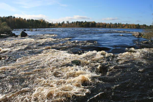 Färnebofjärden Gysinge rapids.jpg