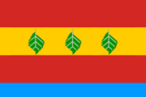 Флаг