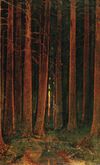 Kuindzhi Sunset in a forest 1878.jpg