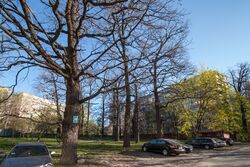 Kyiv76 01.jpg