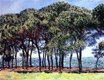 Monet - pine-trees-cap-d-antibes.jpg