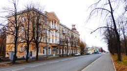 Pushkinskaya Street, 3.jpg