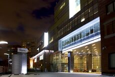 Яндекс ночью.jpg