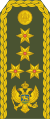 19-Montenegro Army-GEN.svg