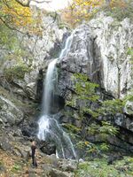 Boyana waterfall.jpg