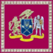 Flag of the National Guard of Ukraine (project).png