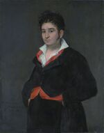 Goya Don Ramon Satue.jpg