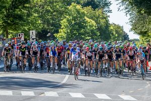 Pack (37038828711).jpg