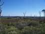 Pensacola FL Big Lagoon SP02.jpg