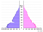 Population pyramid of Japan, 1940.svg