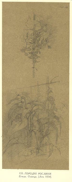 Городні рослини. Етюди .jpg