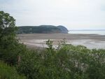100 - Fundy National Park.JPG