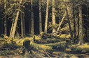 Ivan Shishkin - Wind-Fallen Trees.JPG