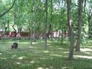 Kronshtadt2012 4608.jpg