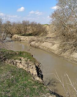 Река в 2021 году