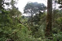 La Amistad International Park.JPG