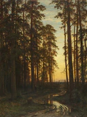 Pine Forest (Evening in a Pine Forest) (Shishkin).jpg