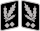 SS-Obergruppenführer Collar Rank.svg
