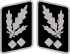 SS-Obergruppenführer Collar Rank.svg