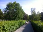 Tallinsky Park Moscow 2.jpg