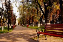 Парк імені Т.Г.Шеченка.jpg