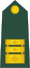 16-Slovenian Army-LTC.svg