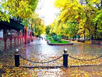 Городской парк осенью 2012 года