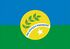Bandeira OuroVerdedeGoias.jpg