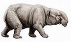 Barytherium grave