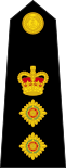British Royal Marines OF-5.svg