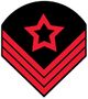 Confederate States of America Ordnance Sergeant-Artillery.jpg