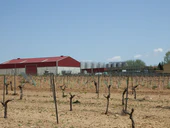 Фуэнте-де-Педро-Наарро