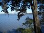 Lake Talquin SP lake04.jpg