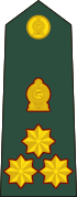 Sri Lanka-army-OF-6.svg