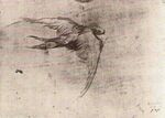 Van gogh swift vgm f1244v jh1290.jpg