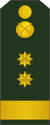 13-Moldovan Army-LTC.svg