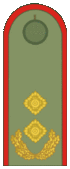Belarus BKA 1944 everyday - Hienieral liejtenant.gif