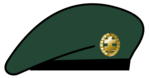 Berete Šaulys.png