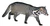 Malay Civet (Viverra tangalunga) white background.jpg