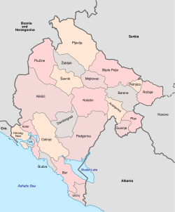 Municipalities of Montenegro.svg