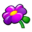 Nuvola apps kuickshow.png