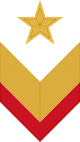 петлица ркм 1936