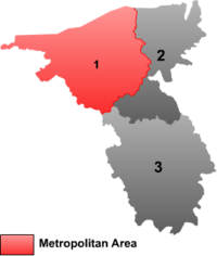 Zhongwei mcp.png