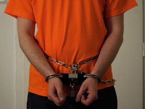 "blue box" handcuff cover.jpg