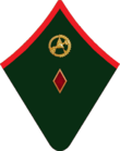 Бригинтендант шинель.png