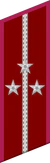 петлица ГБ 1936