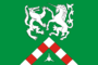 Flag of Bolsheyalchikskoe rural settlement.png