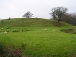 Former Sea Cliffs near Houghton Green - geograph.org.uk - 300516.jpg