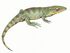 Gephyrostegus bohemicus