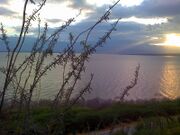 Lago Enriquillo2.jpg